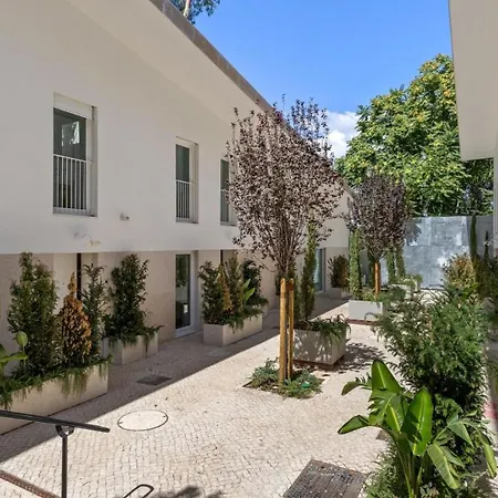Appartement New 1-Bedroom Apartment With Botanical Garden Views In Principe Real *